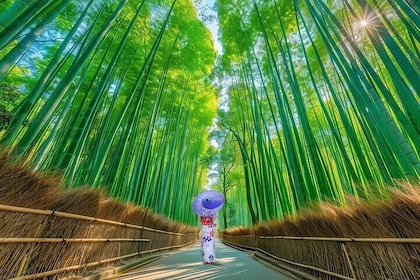 From Kyoto / Osaka: Kyoto Must-see Spots & Nara Park One Day Tour
