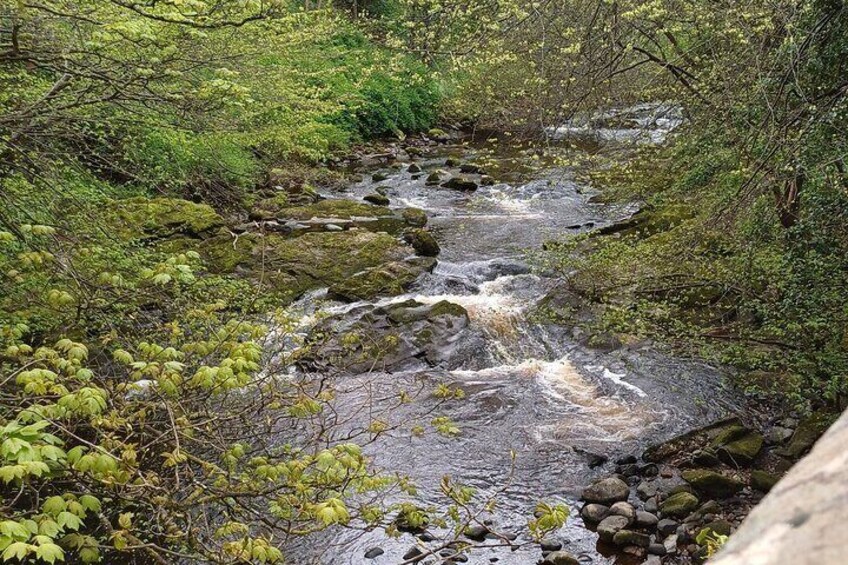 Water of Leith