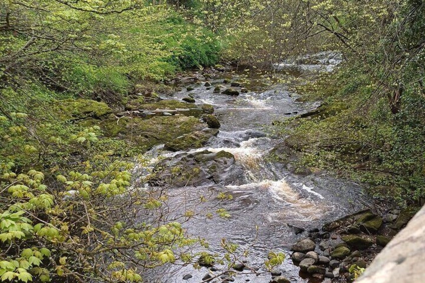 Water of Leith