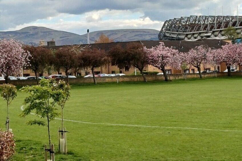 Pentland Hills