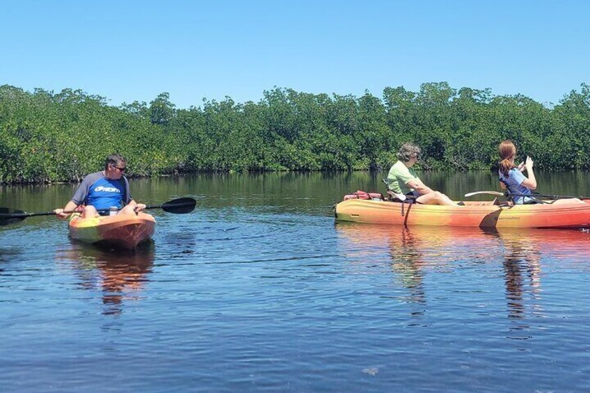 Kayak through the Mangroves of Tavernier Creek