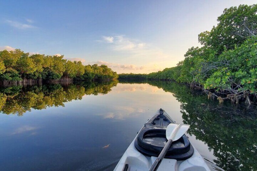 Kayak through the Mangroves of Tavernier Creek