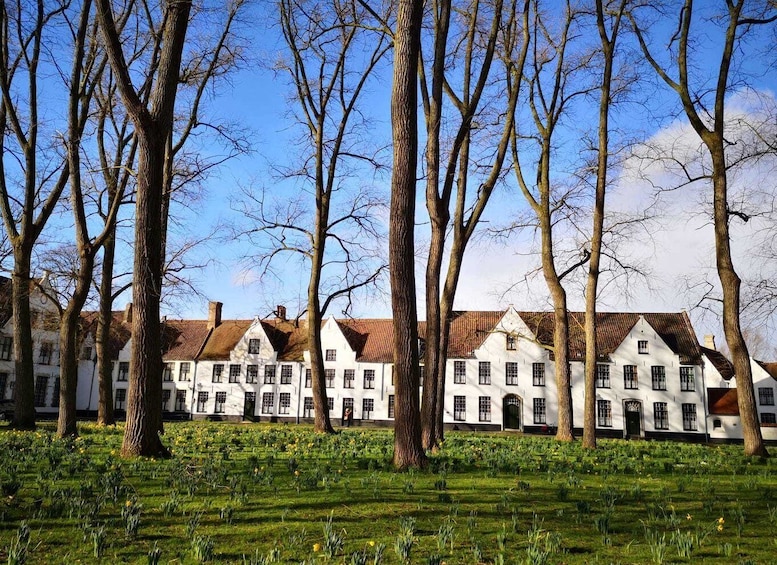 Picture 12 for Activity From Brussels: Bruges Full-Day Guided Tour
