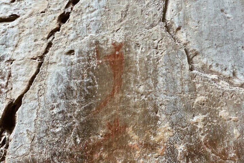 Our professional guide will guide you to find all pictographs as they are aware of their locations.