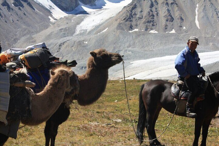 Camel Man