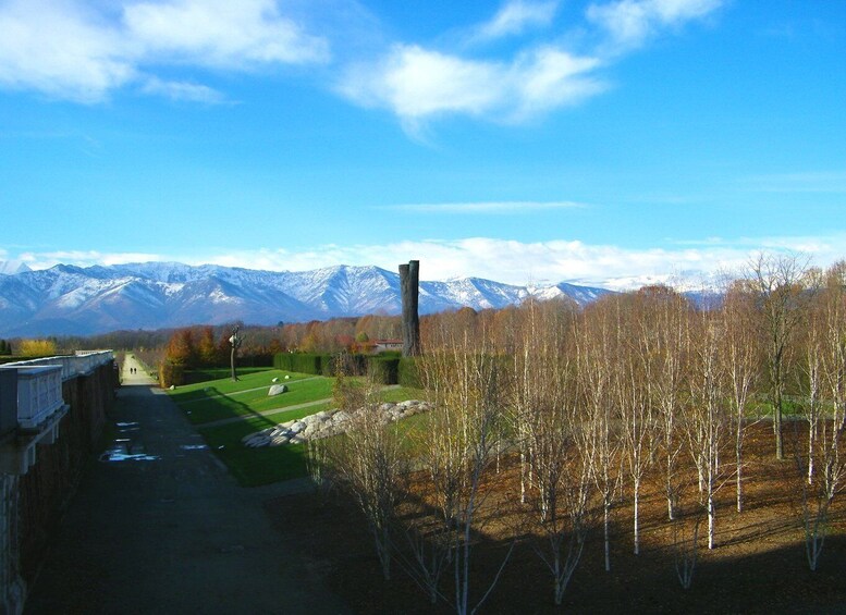 Picture 11 for Activity Venaria: Royal Palace and Gardens Guided Tour