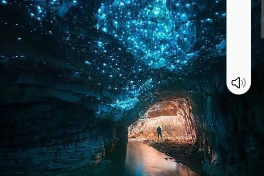 Waitomo Glowworm Caves and Ruakuri Cave 