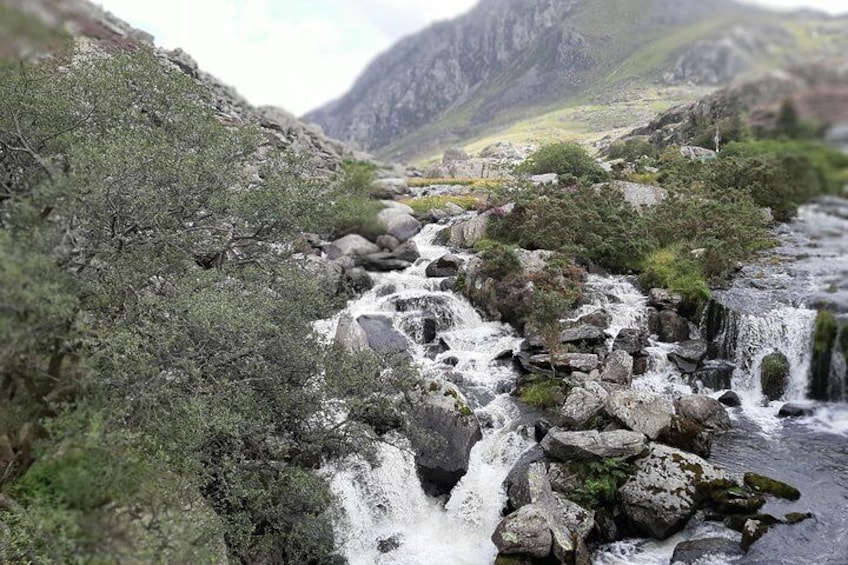 Llyn Ogwyn