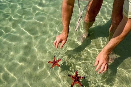 PRIVATE Discover Phu Quoc Local life and Starfish Beach & Lunch