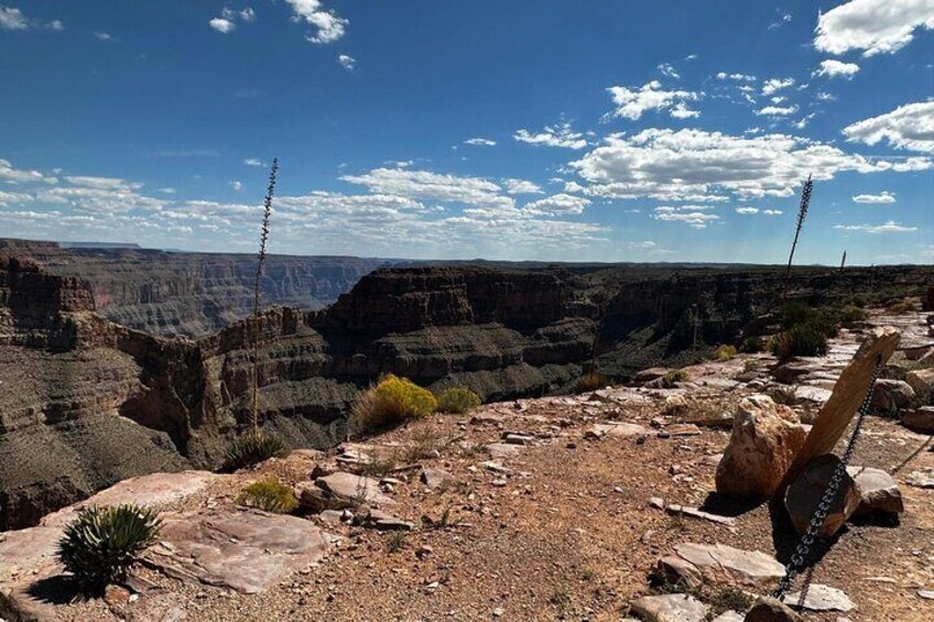 Vertigo From Infinity In The Heart Of The Desert Grand Canyon Skywalk