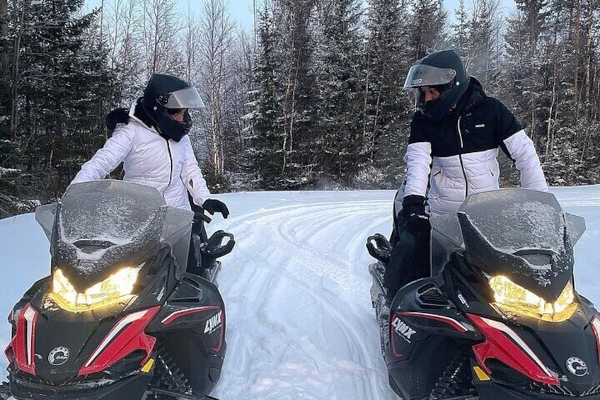 Snowmobile drive experience