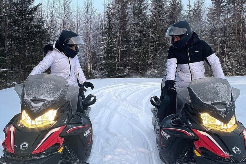 Snowmobile drive experience