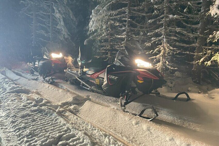 Snowmobile drive experience