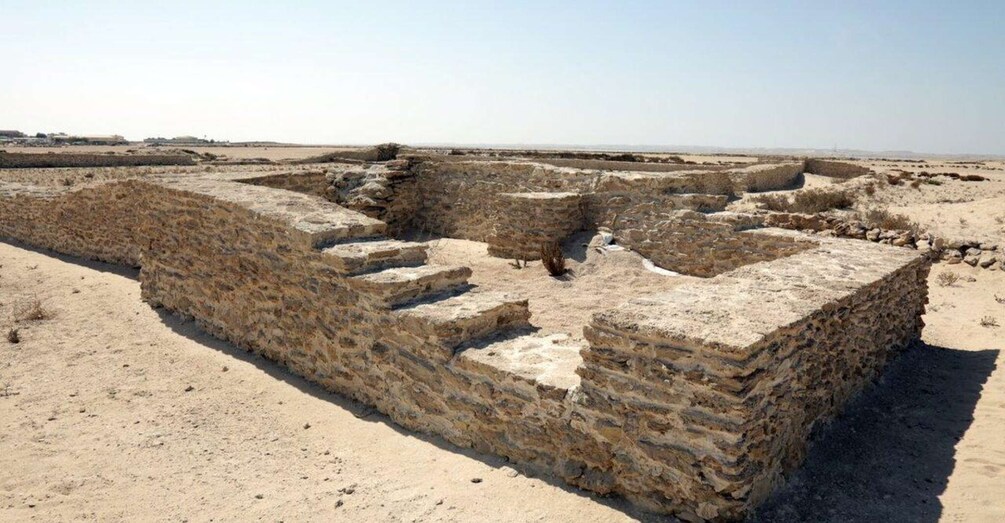 Picture 4 for Activity West Qatar: Richard Serra, Mushroom Hills, Camel Race track
