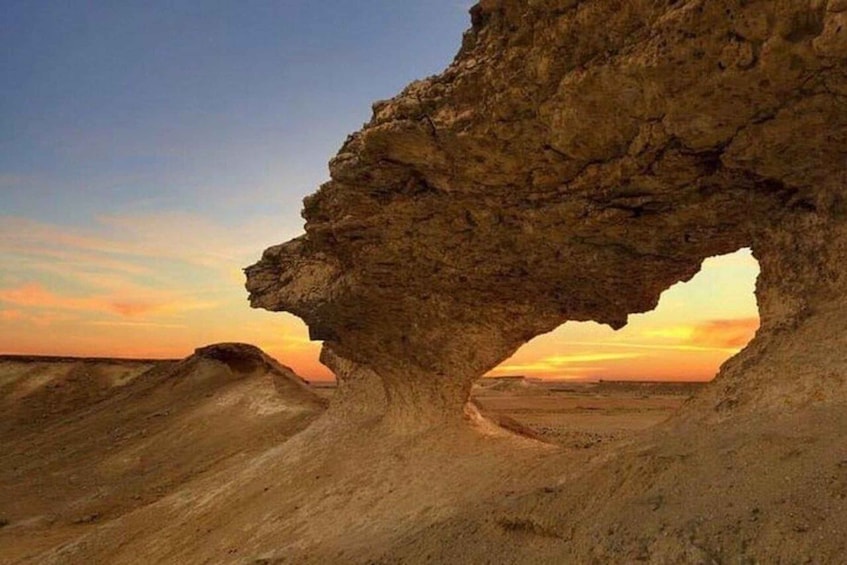 Picture 3 for Activity West Qatar: Richard Serra, Mushroom Hills, Camel Race track