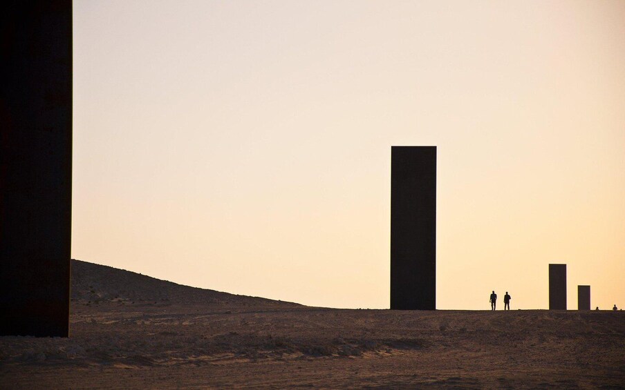 Picture 7 for Activity West Qatar: Richard Serra, Mushroom Hills, Camel Race track