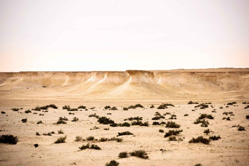 Picture 5 for Activity West Qatar: Richard Serra, Mushroom Hills, Camel Race track