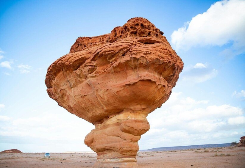Picture 1 for Activity West of Qatar Richard Serra, Mushroom Hills, CamelRace track