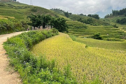 Explore Sa Pa: A Day Trek Through Cultural Treasures