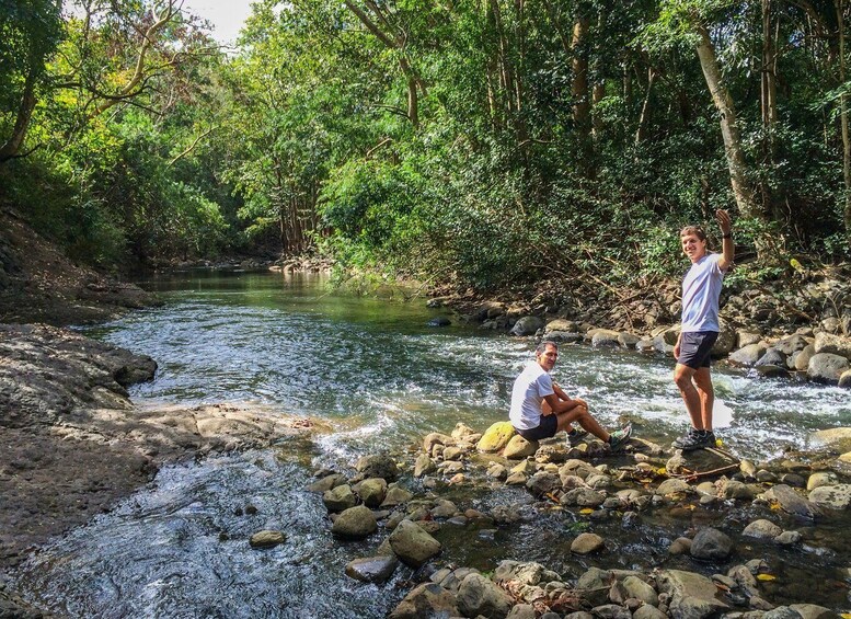 Picture 6 for Activity Mauritius: Black River Gorges National Park 3-Hour Hike