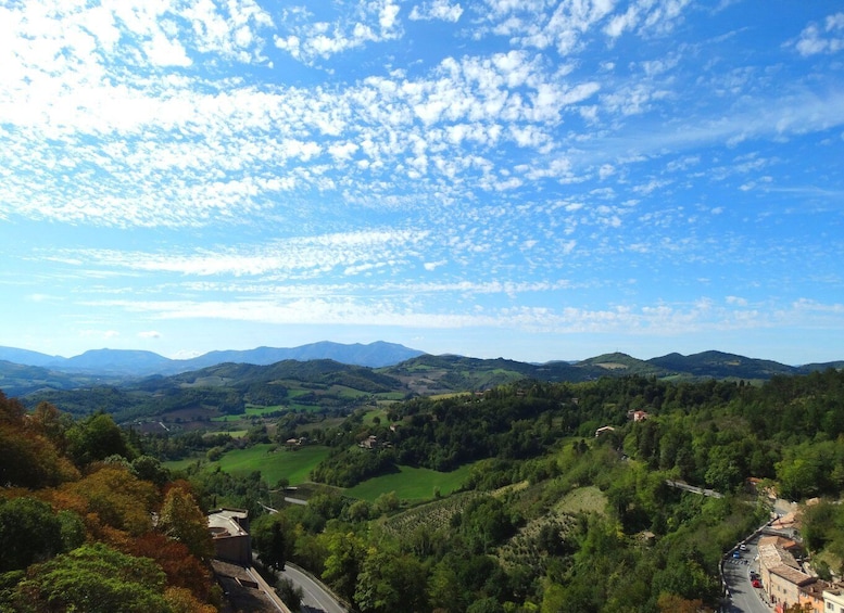 Picture 3 for Activity Urbino private tour: the renaissance town of Raffaello