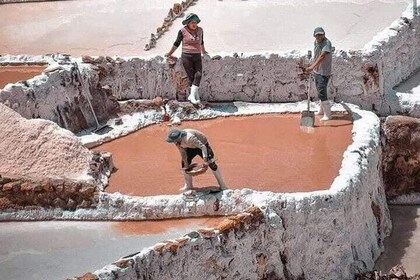 Visite à Moray et Salar de Maras en petits groupes