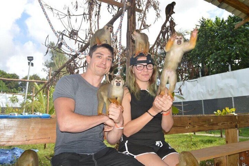 Tours to Tyroleza Waterfalls and Monkeys 3 Tours in One