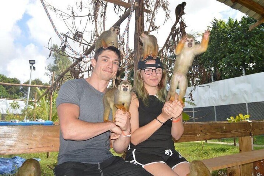 Tours to Tyroleza Waterfalls and Monkeys 3 Tours in One