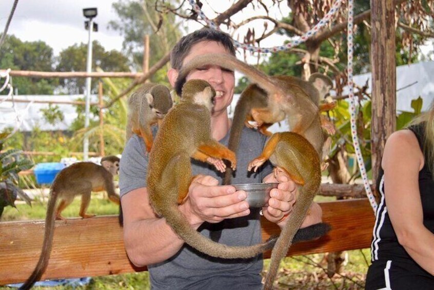 Tours to Tyroleza Waterfalls and Monkeys 3 Tours in One