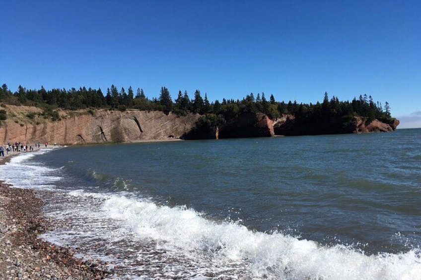Shore and Hopewell Rocks Guided Tour