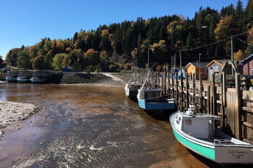 Shore and Hopewell Rocks Guided Tour
