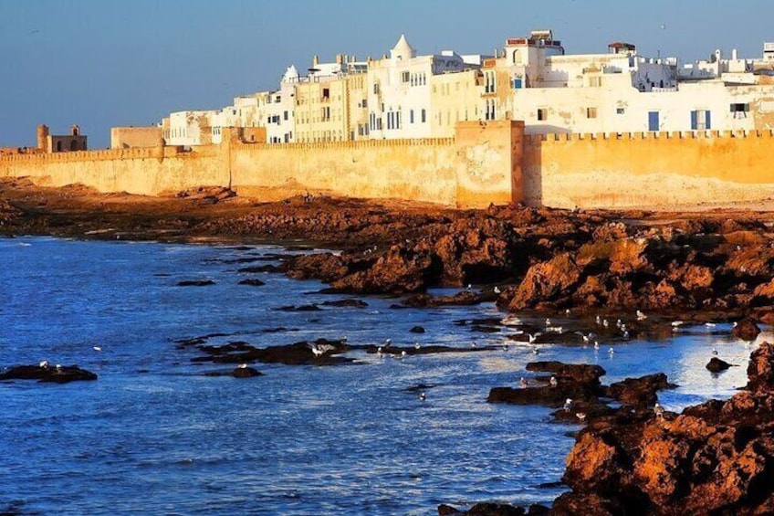 Essaouira Trip from Agadir