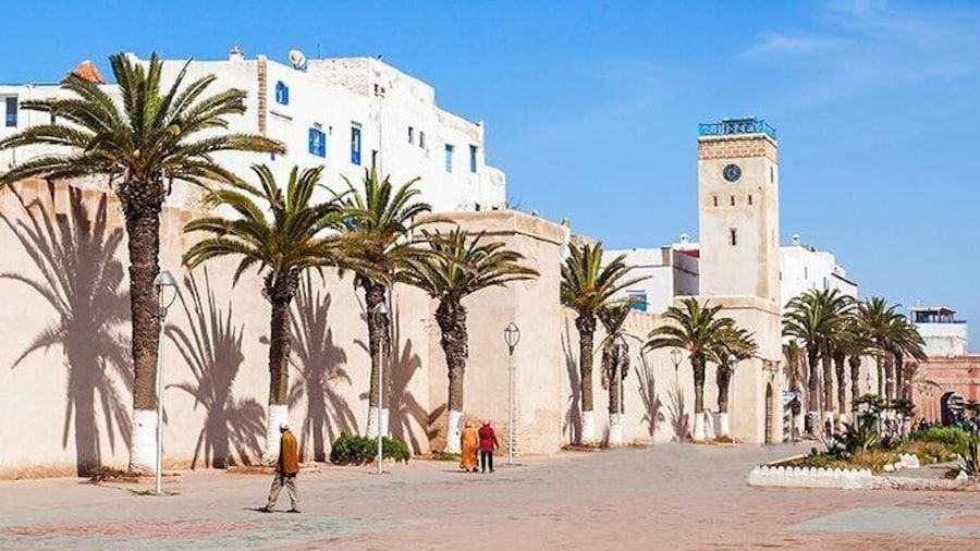 Essaouira Trip from Agadir