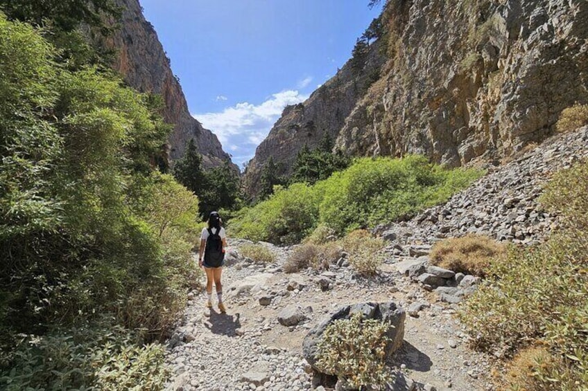 Imbros Gorge Private Tour from Rethimno 