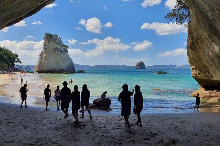 Coastal Wonders Cathedral Cove and Hot Water Beach