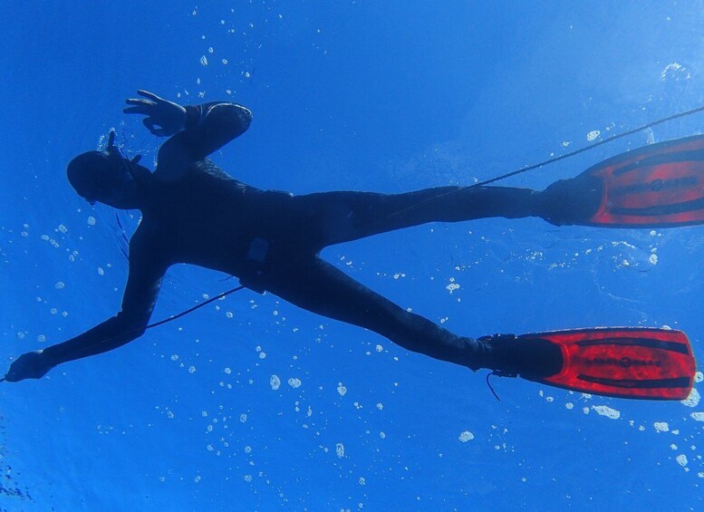 Picture 3 for Activity Azores: Freediving Experience