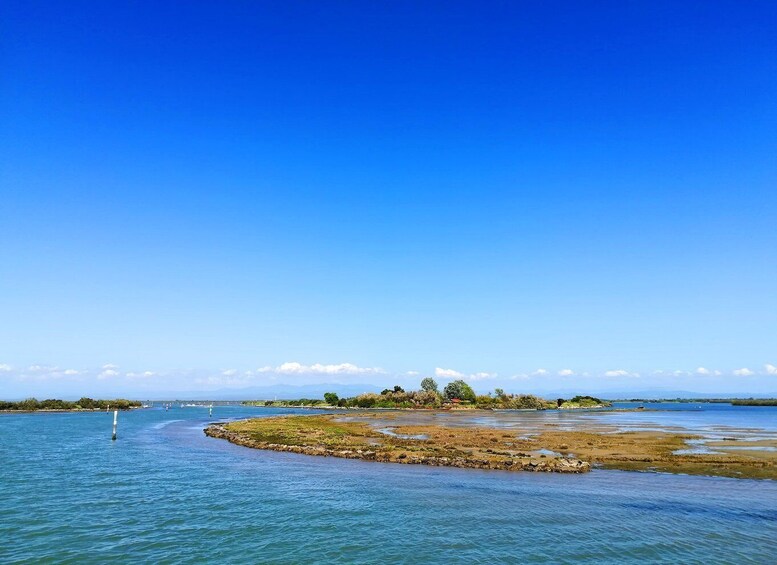 Picture 2 for Activity GRADO private tour: a shiny lagoon near Venice