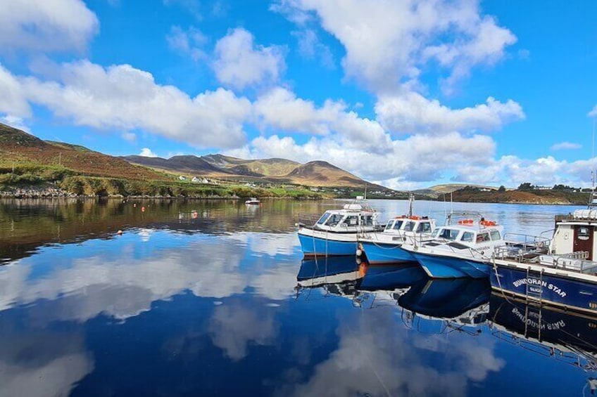 Donegal Private Tour Slieve League & Glenveagh National Park