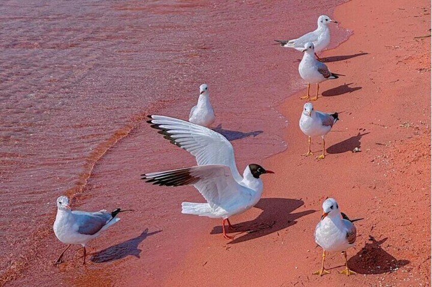 Private Full day Tour in Fuxian Lake Scenic Area