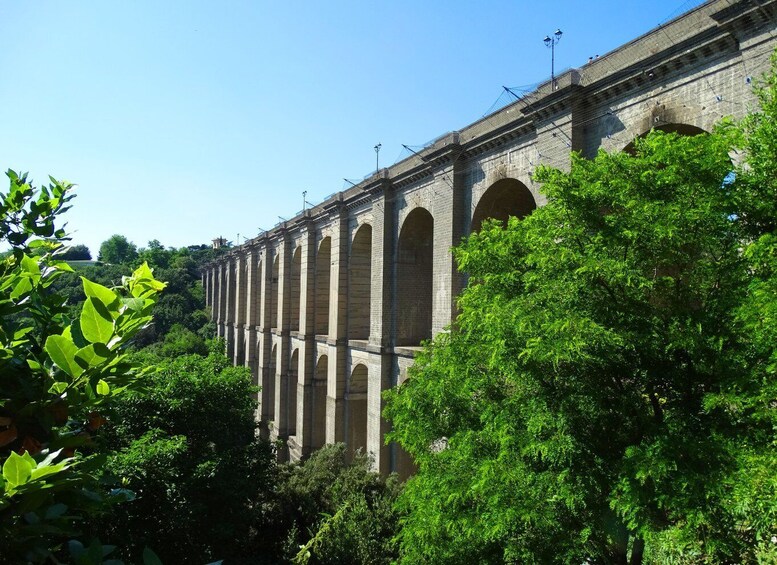 Picture 3 for Activity Ariccia: The Capital of Porchetta Guided Tour