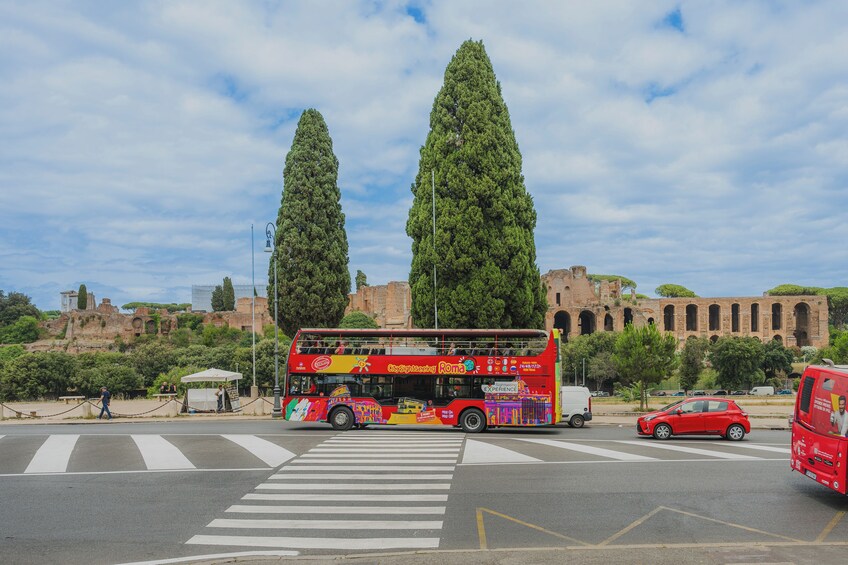Disembark and Discover Transfer from Civitavecchia to Rome with Open Bus