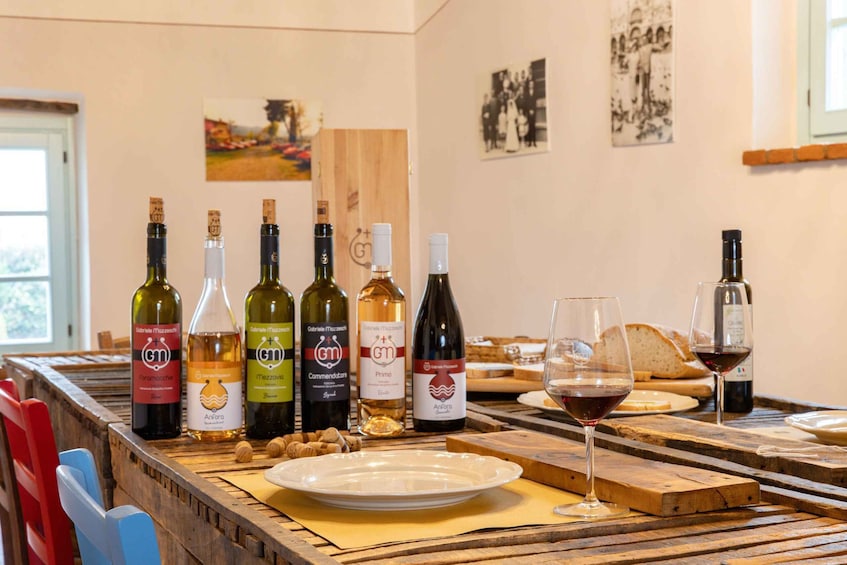 Castiglion Fiorentino: wine tasting with guided tour