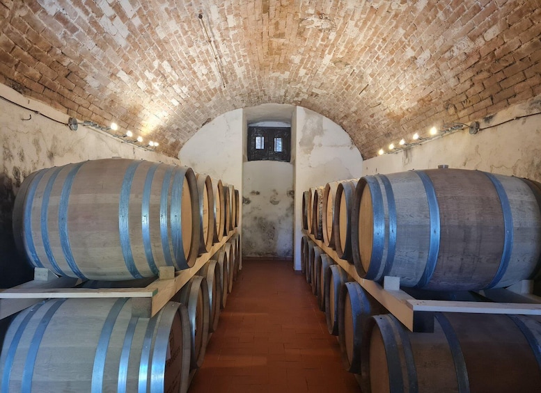 Picture 4 for Activity Castiglion Fiorentino: wine tasting with guided tour