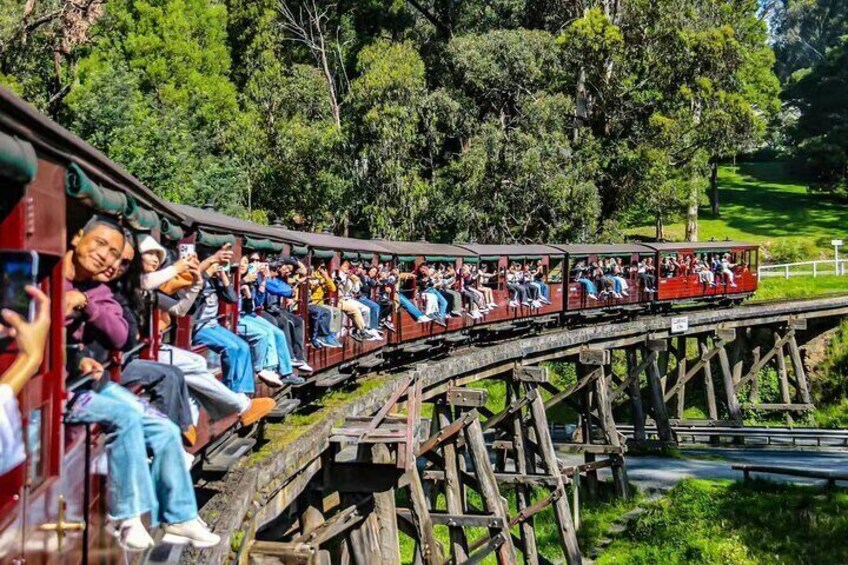 Puffing Billy Escapade and Moonlit Sanctuary Wildlife Magic