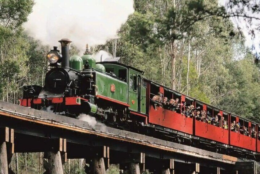 Puffing Billy Escapade and Moonlit Sanctuary Wildlife Magic