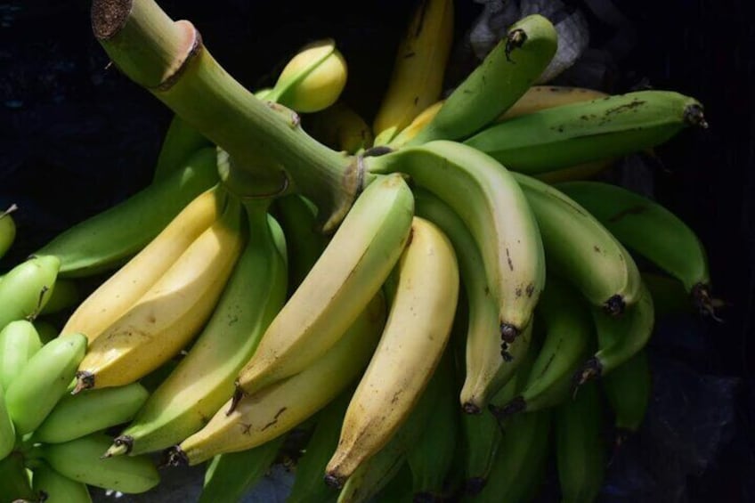 Plantain