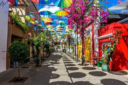 City Tour of the Historic Old Town of Puerto Plata