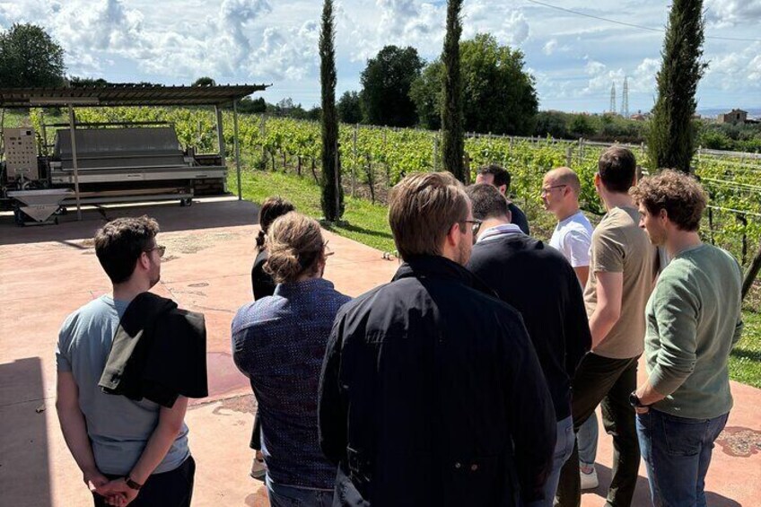 Exclusive Tasting and Tour of the Best Winery in Frascati