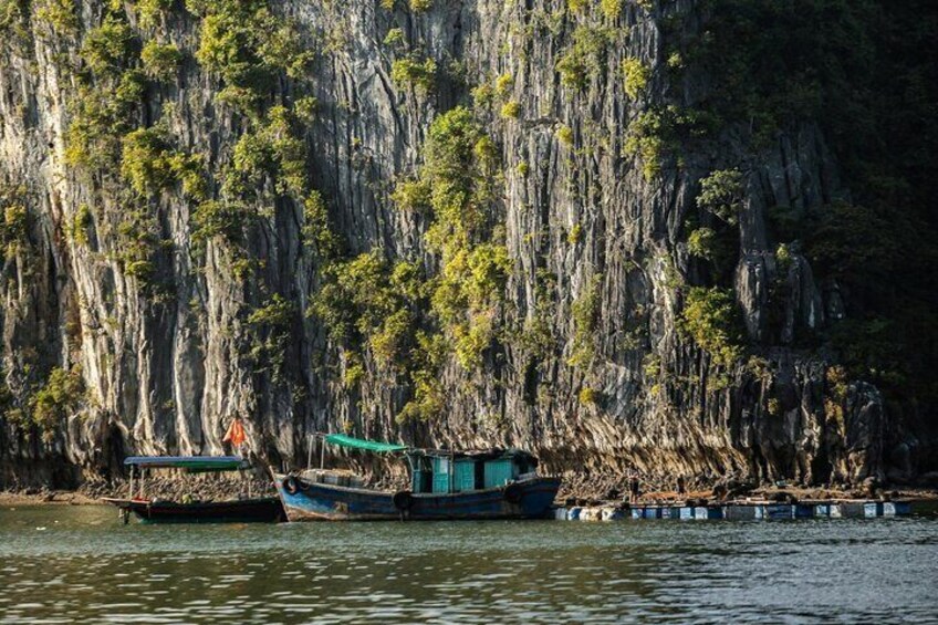 Discover Lan Ha Bay: Exclusive 2-Hour Canoe Tour from Tuan Chau