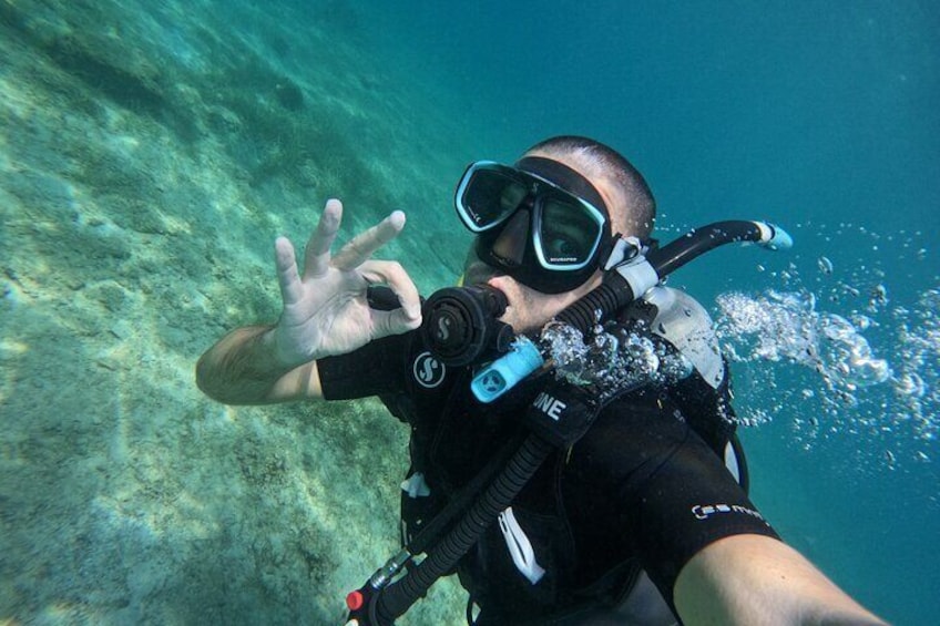 Padi scuba diver course